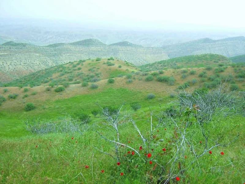 طبیعت روستاهای کلات نادری
