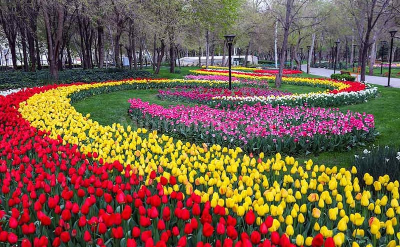 باغ گل چمران