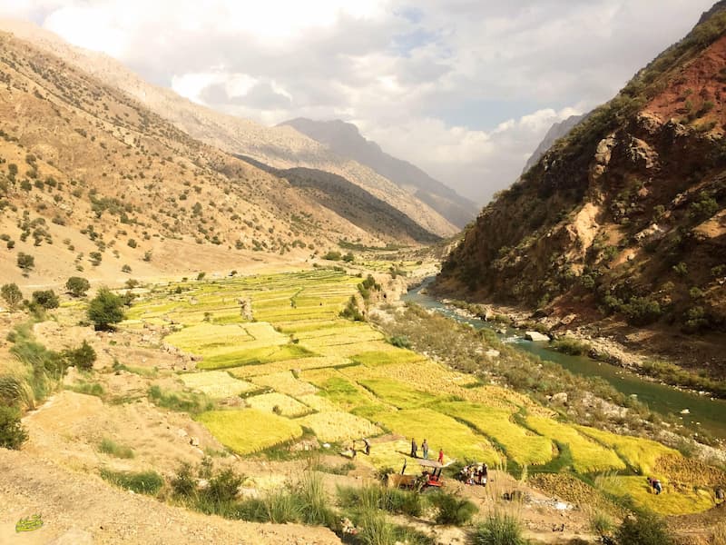 طبیعت ارمند رود