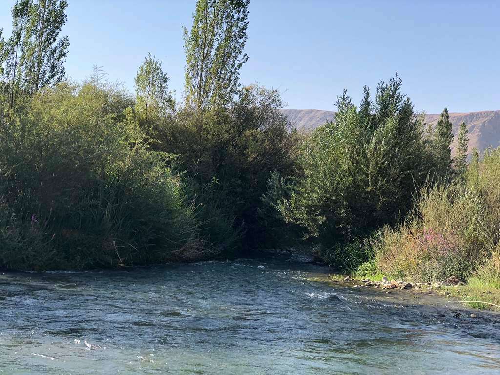 هرانده