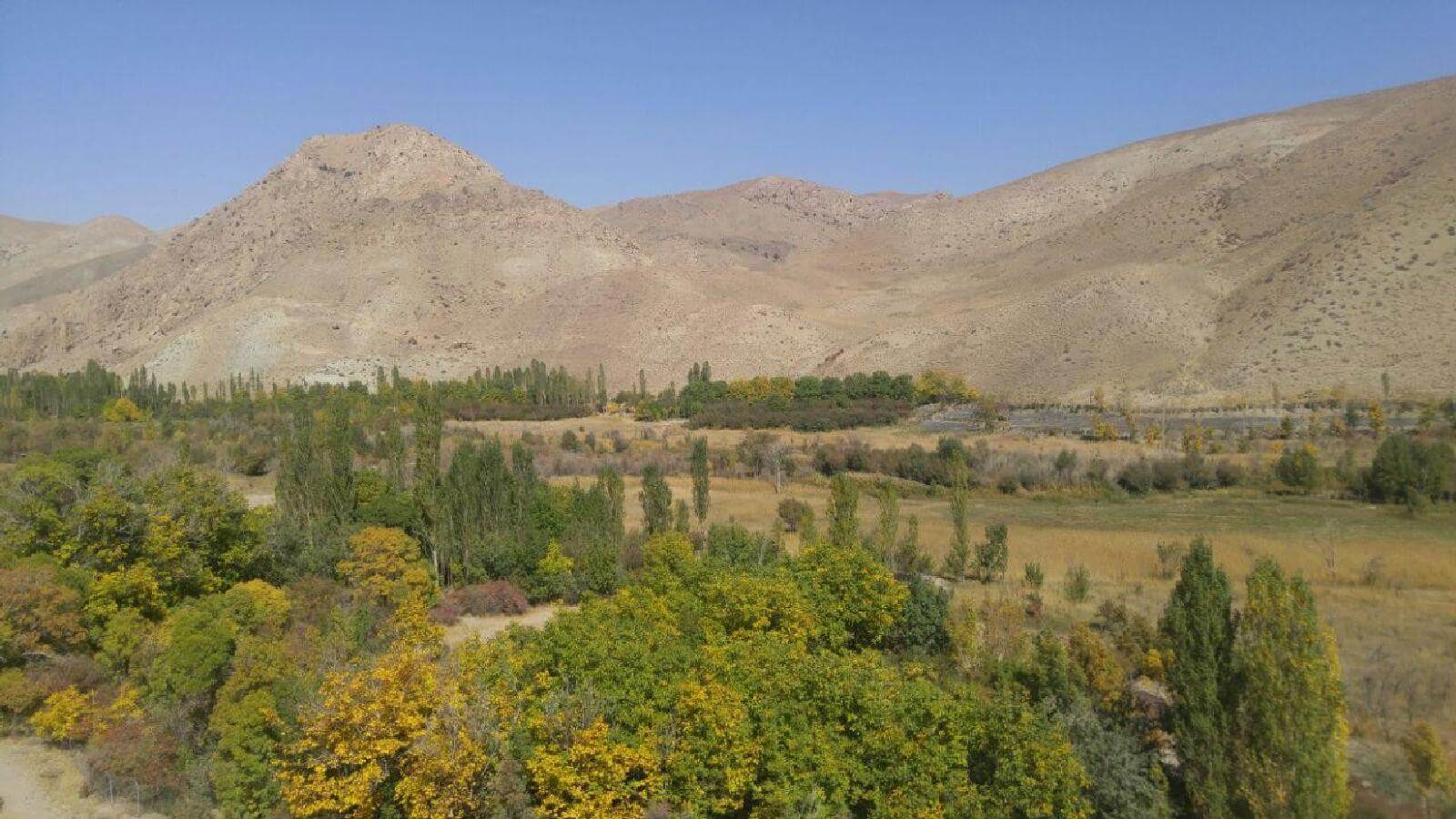 هرانده