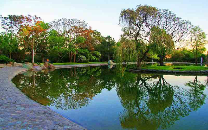 باغ گیاه‌شناسی