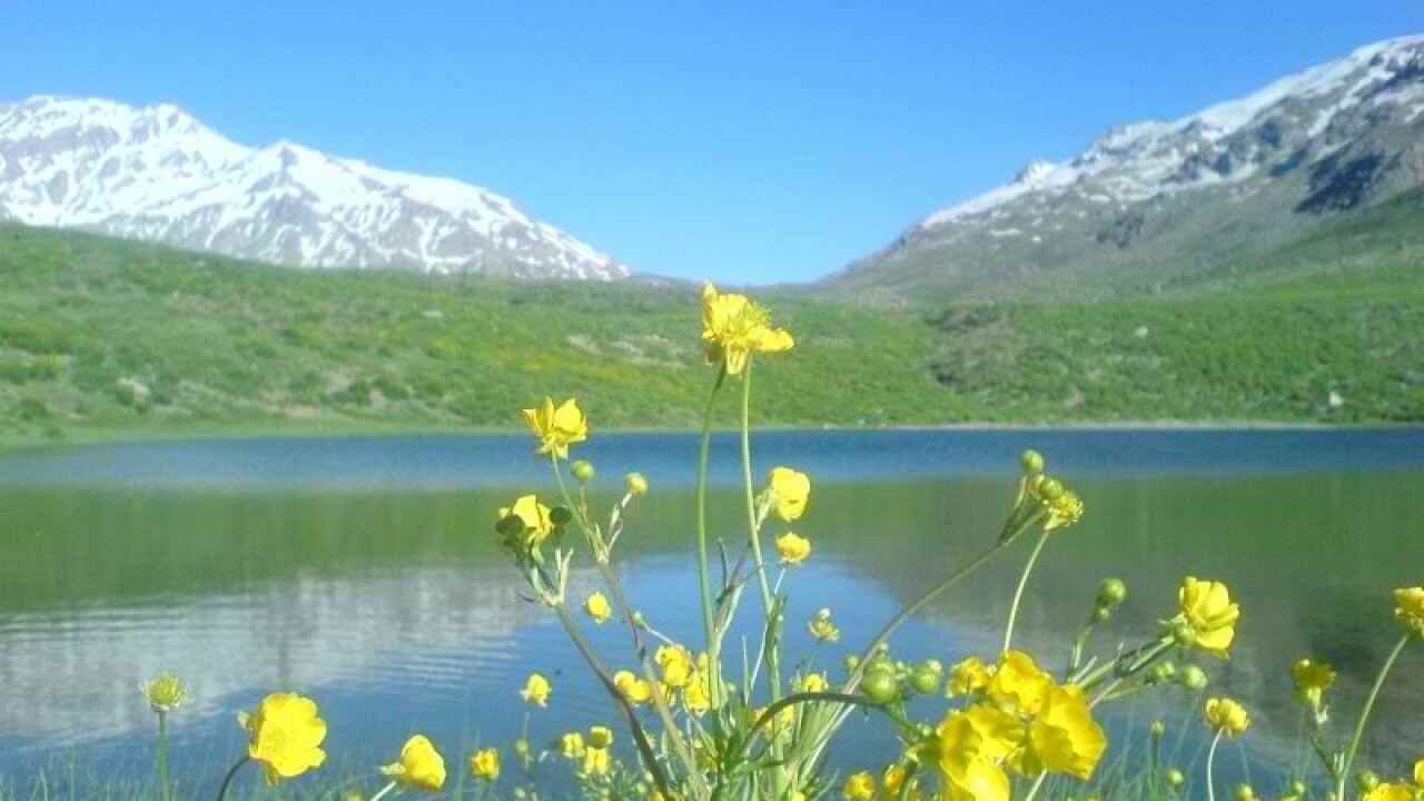 کوه گل یاسوج