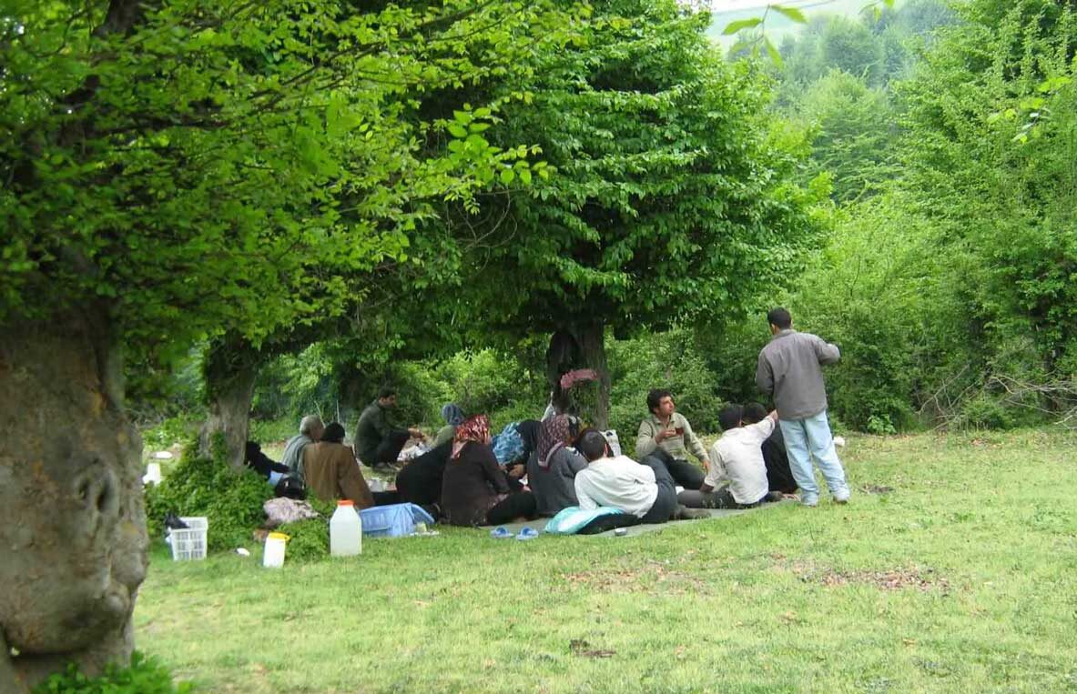 پیک نیک