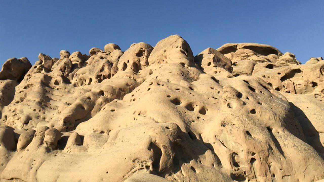 وردیج و واریش