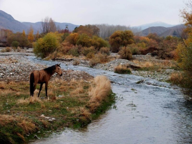 جاذبه های طبیعی تهران