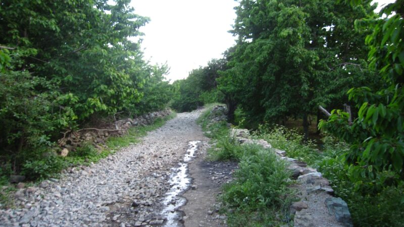 افجه