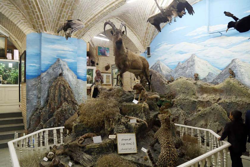 موزه تاریخ طبیعی یزد