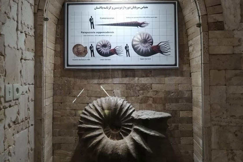 موزه کامبرین یزد