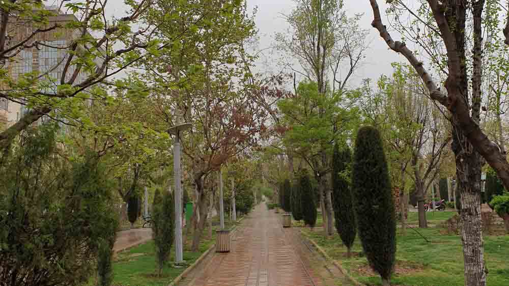 پارک هنرمندان