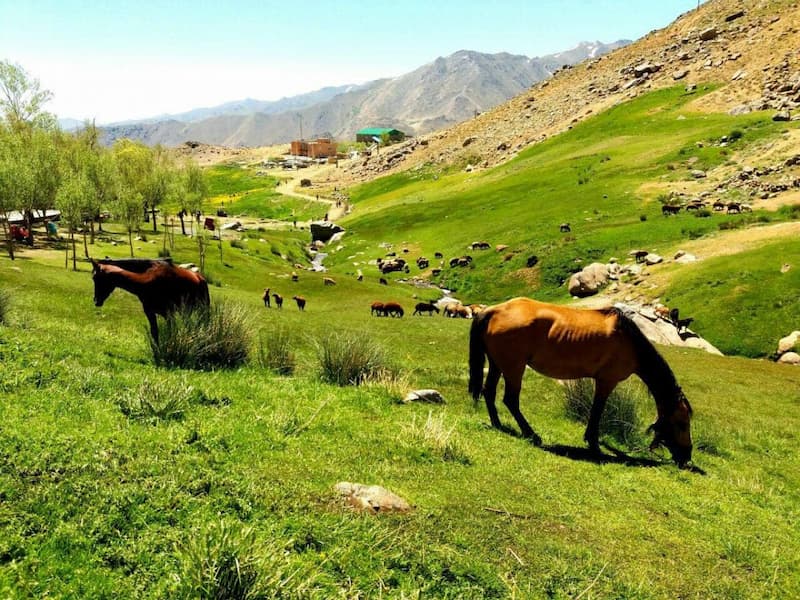 دشت میشان همدان ؛ مسیر سخت و چالشی برای کوهنوردان