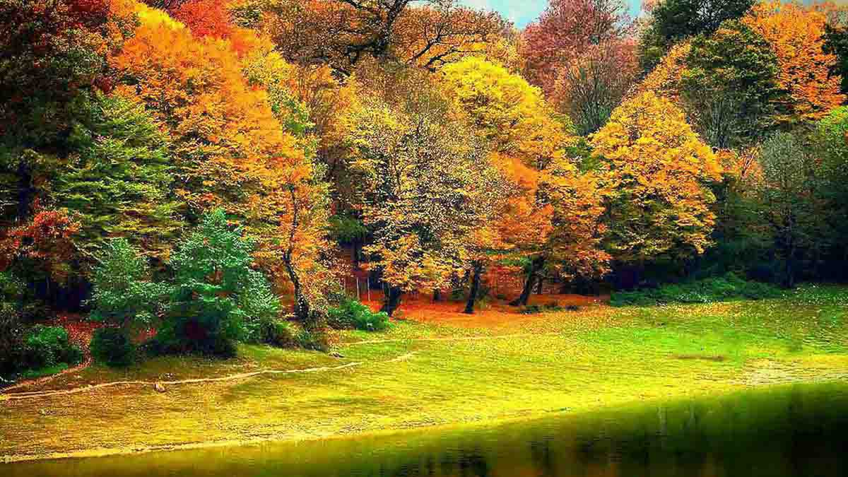 جنگلهای هیرکانی گیلان