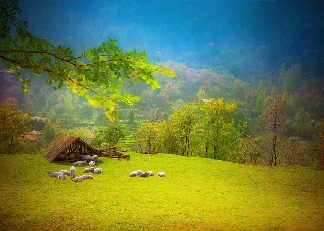 جاهای دیدنی گیلان در پاییز