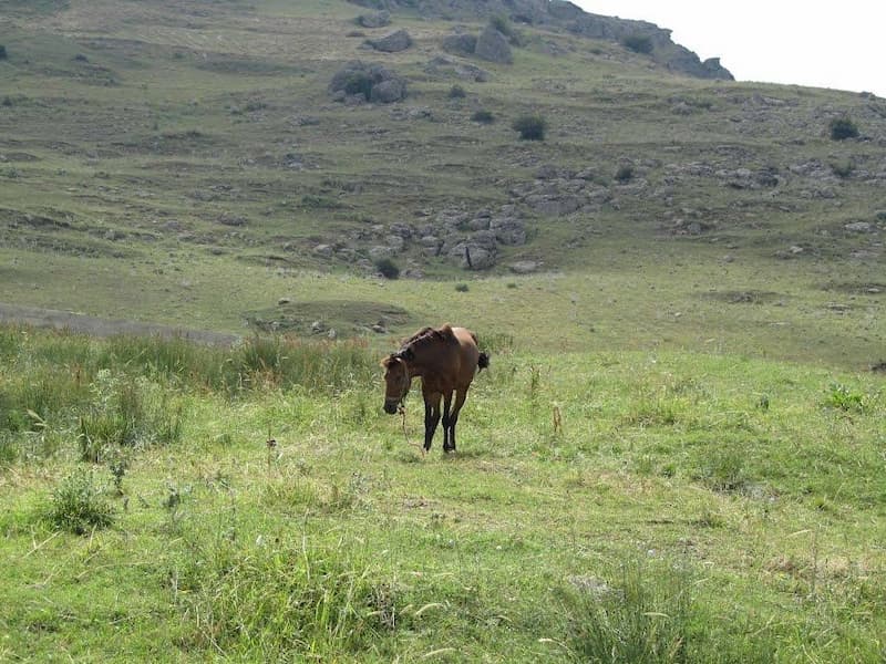 روستای نزدیک تهران