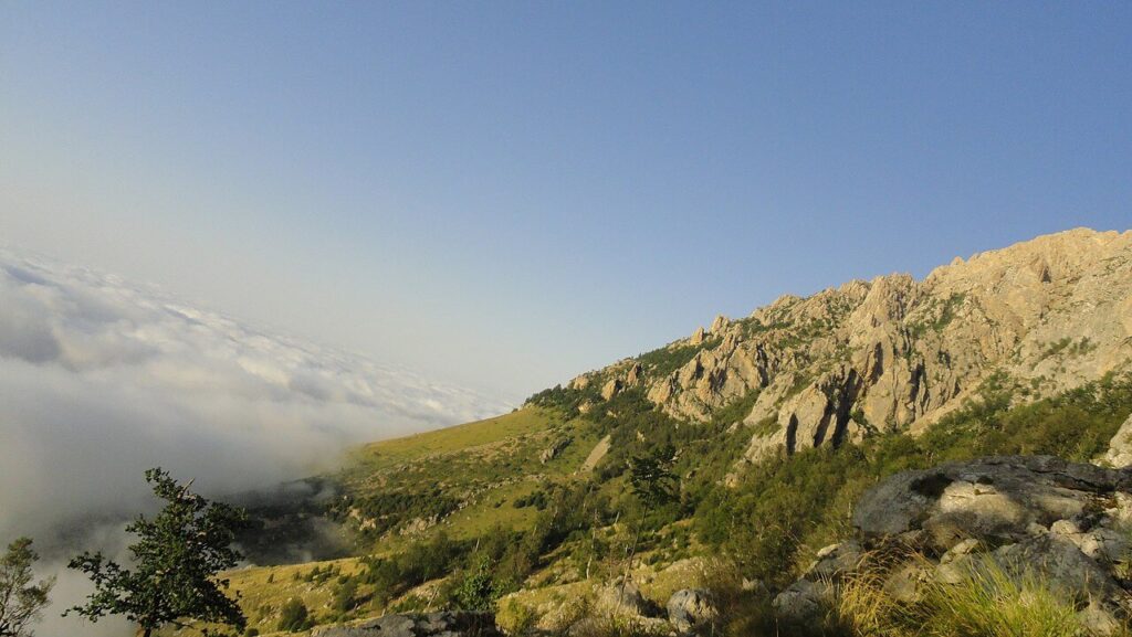 کوهستان در جنگل دوهزار