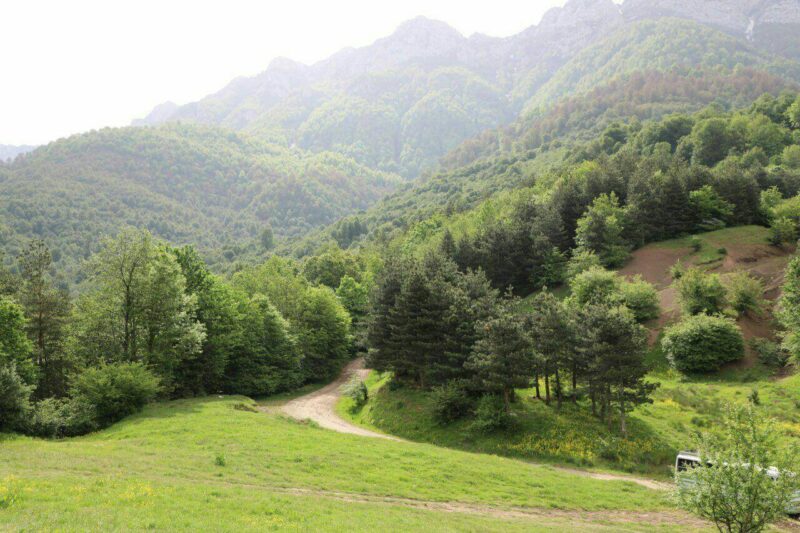 جنگل‌نوردی سنگده