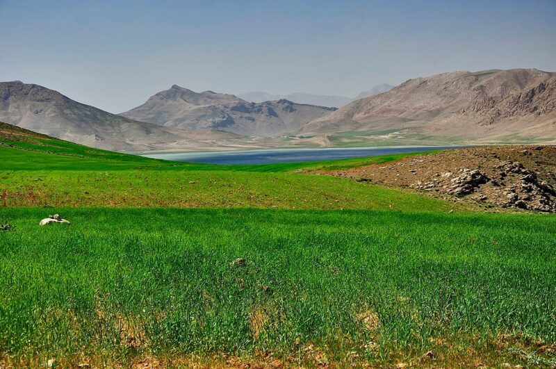 چغاخور