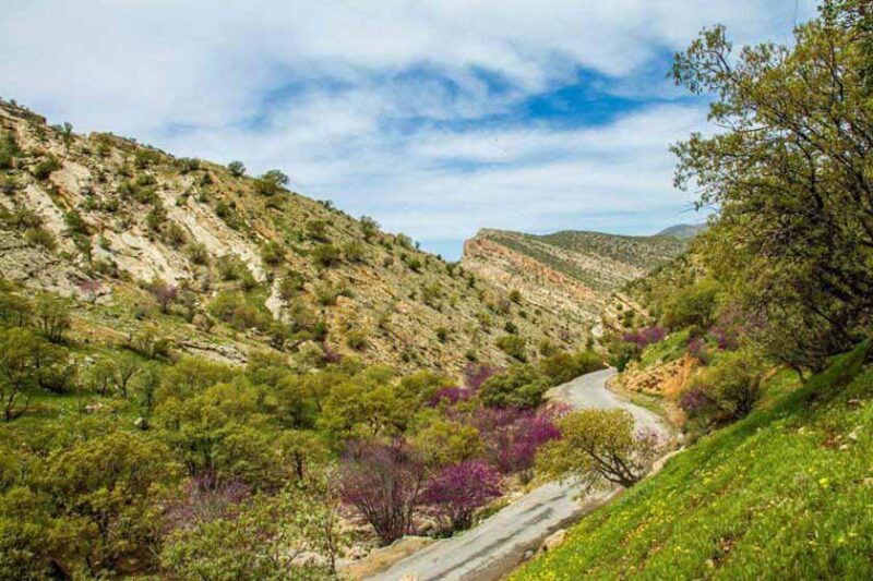 تنگه ارغوان ؛ تابلو نقاشی طبیعت
