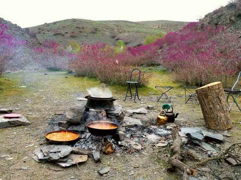 تنگه ارغوان