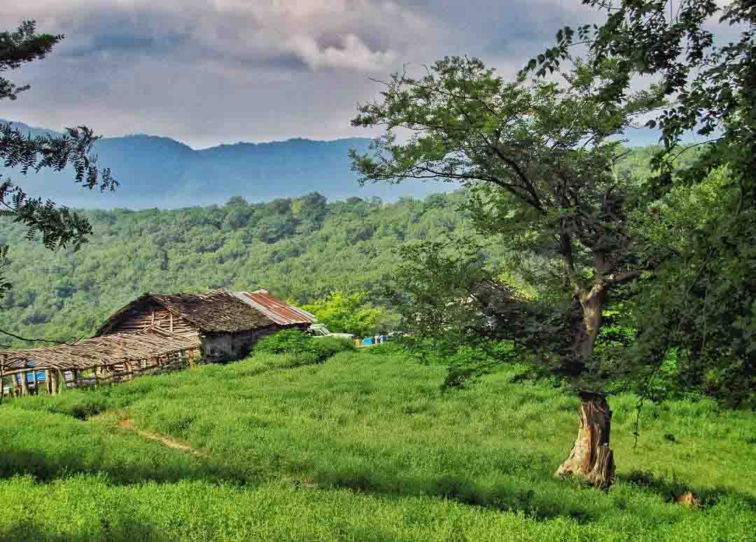 بلیران