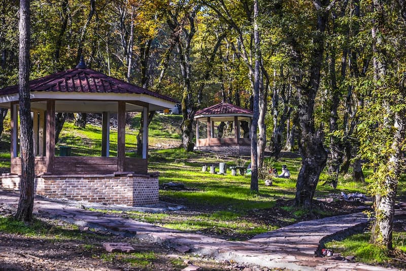 پارک جنگلی سی سنگان در مازندران برای پیک نیک