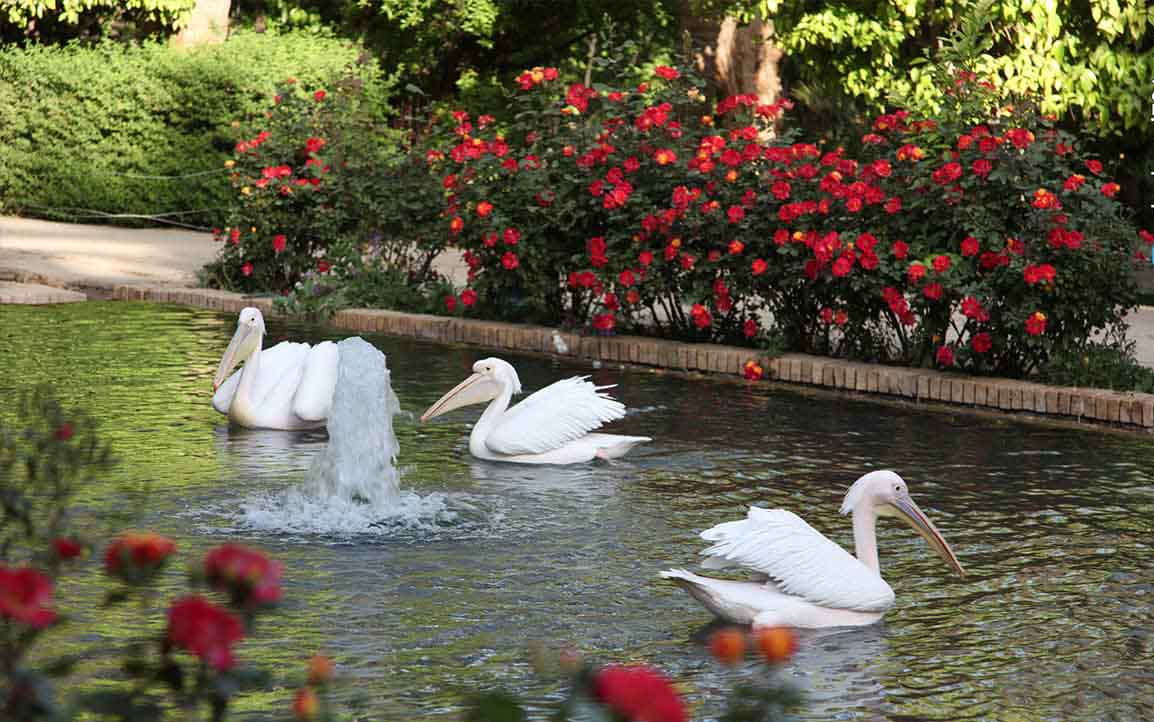 باغ گلشن طبس