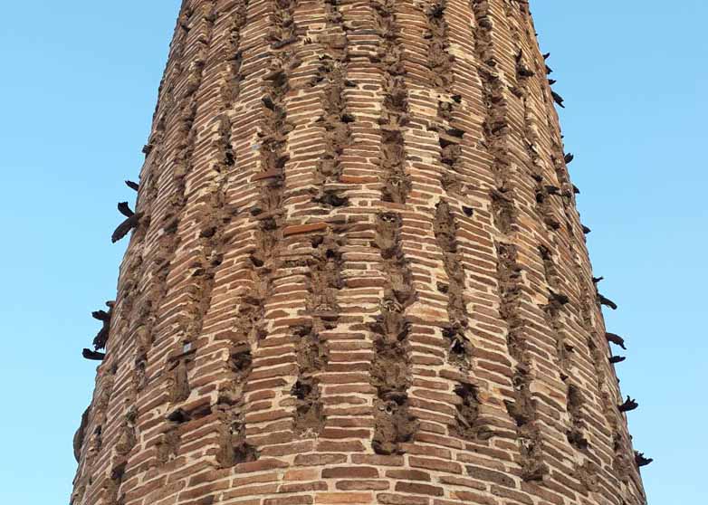مقبره شمس تبریزی