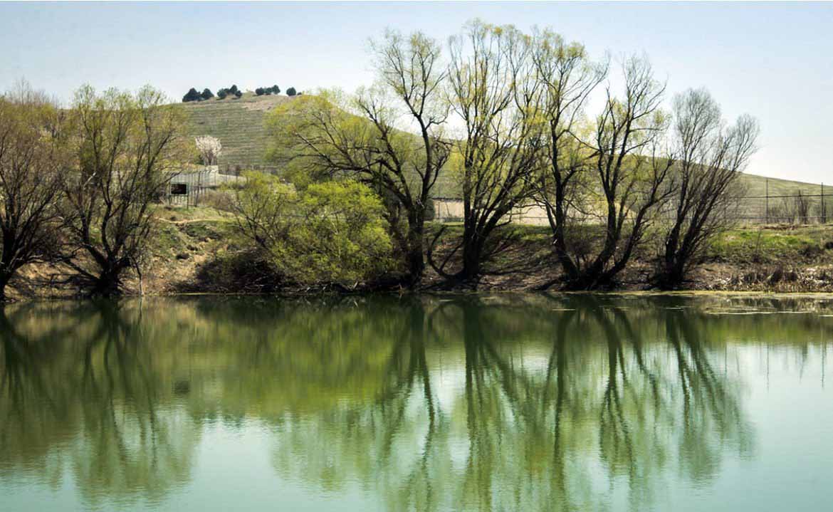 بوستان یاس فاطمی