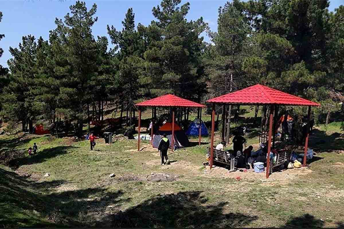 بوستان یاس فاطمی