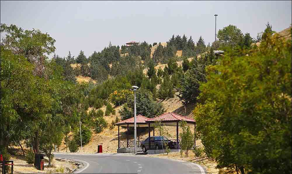 بوستان یاس فاطمی