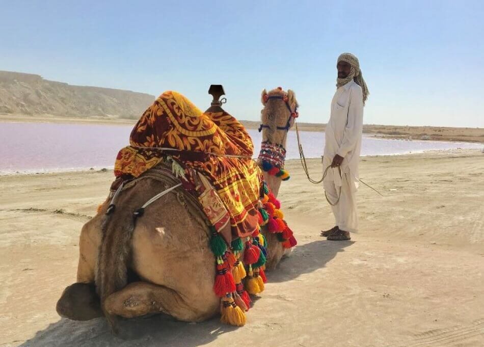 تالاب لیپار