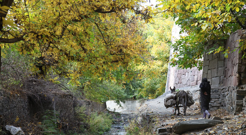 روستای زشک