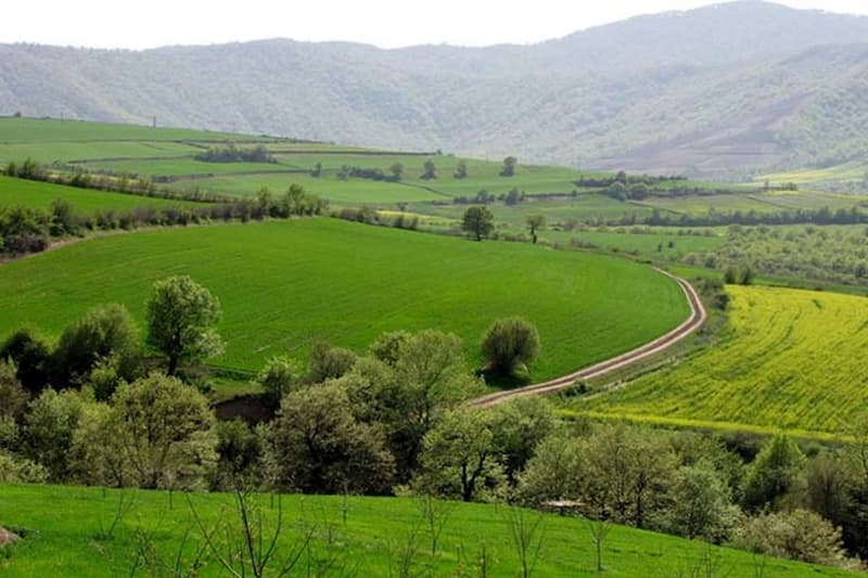 چرا پارک ملی گلستان یک سرمایه جهانی است؟