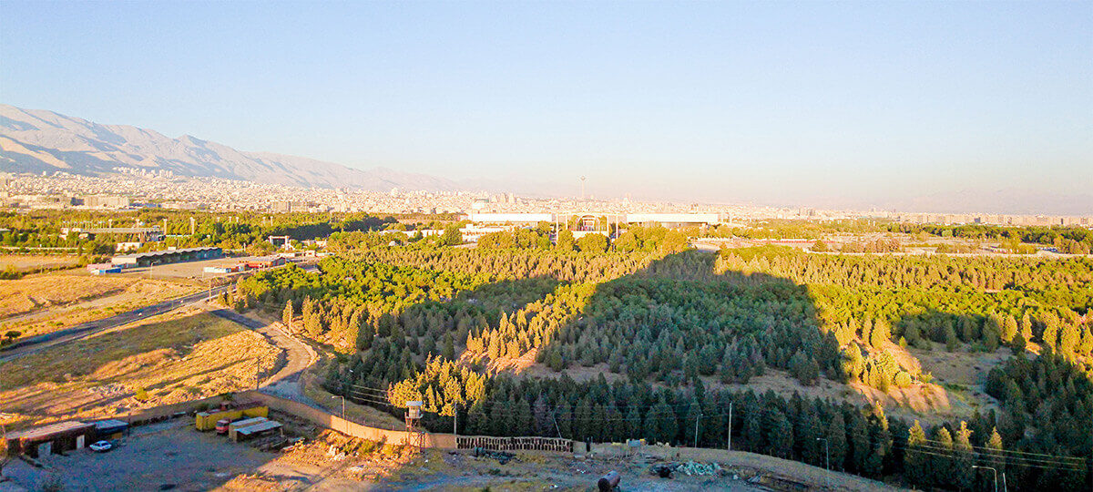 پارک جنگلی خرگوش دره