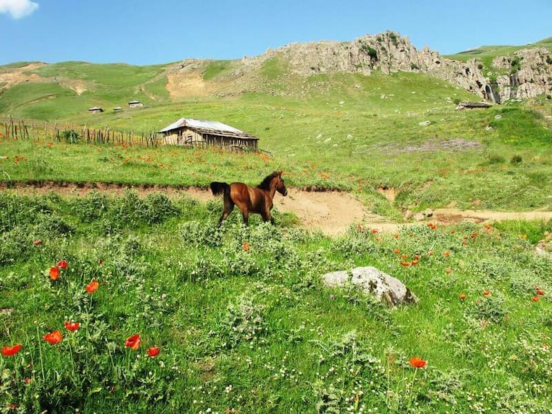 دشت سوباتان تالش