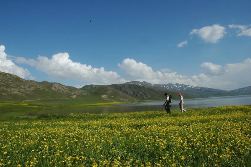 دریاچه نئور
