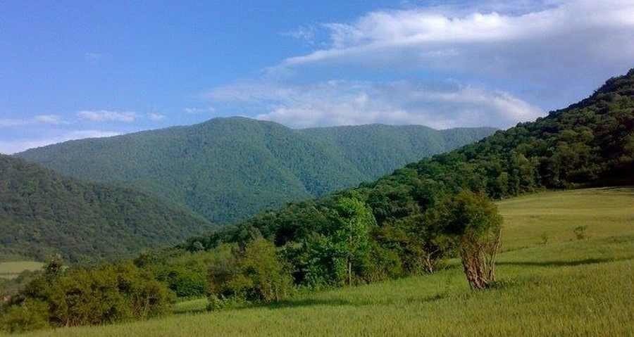 باید و نبایدهای سفر