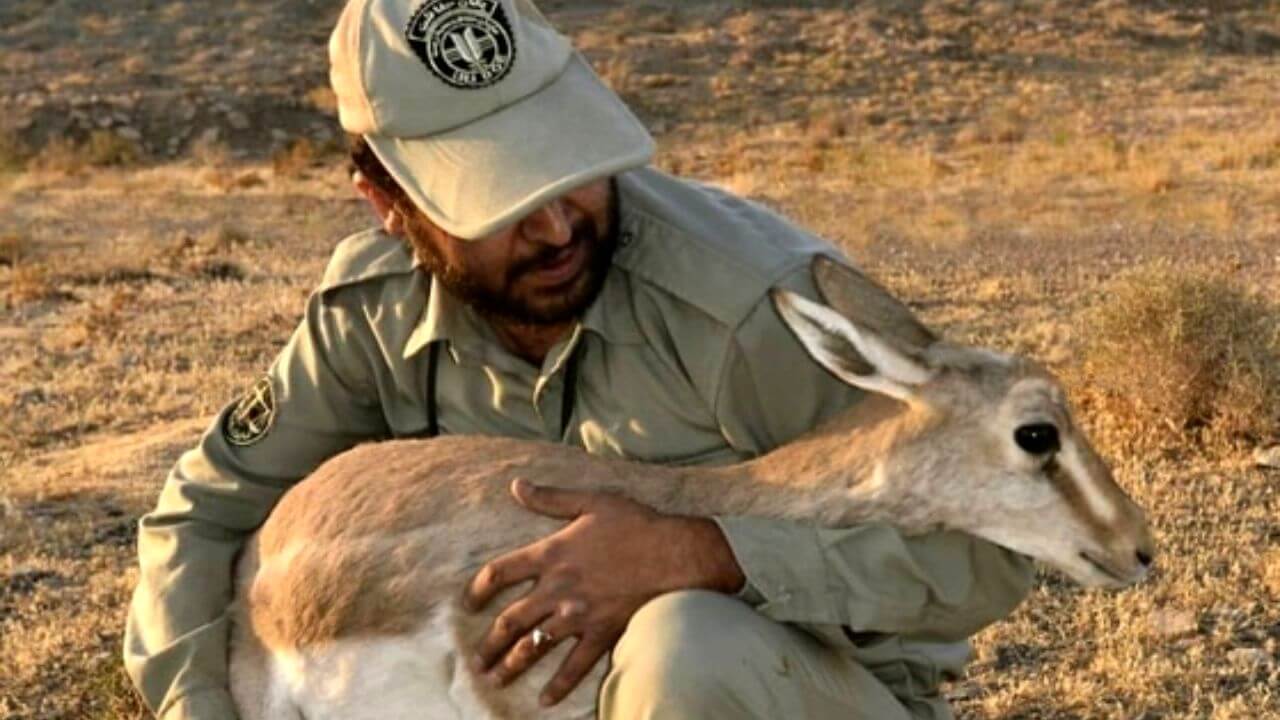 کوه بمو