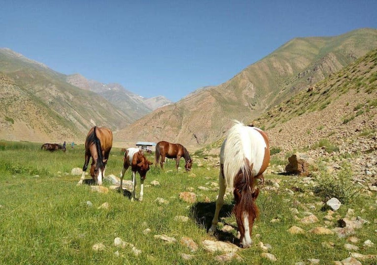 دشت نمارستاق
