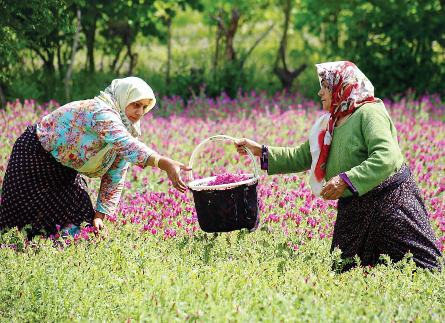 تفریح در روستای جنت رودبار
