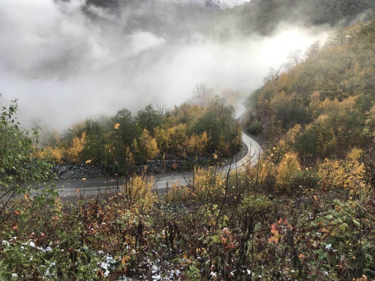 جنگل توسکستان