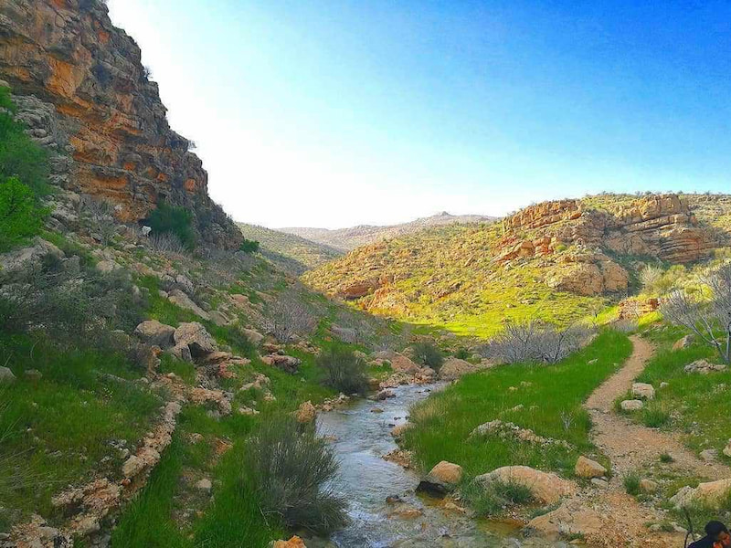 آبشار تارم نی ریز