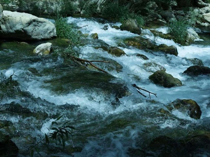 تنگ تیزاب شیراز