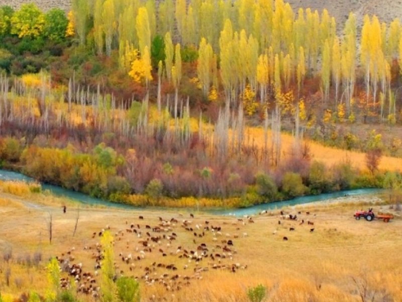 روستای هرانده