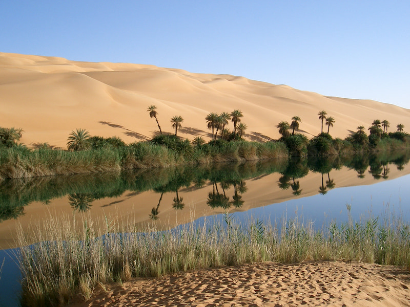 واحه چیست و کجا پیدا میشود؟