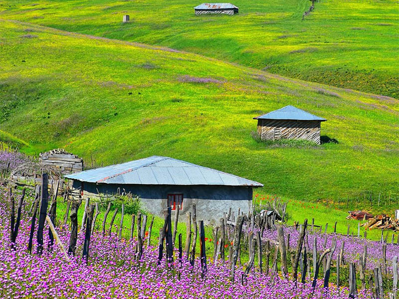 بهترین فصل سفر به شکردشت بهار و تابستان است.