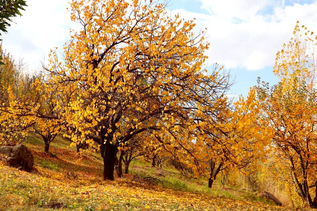 طبیعتگردی در فصل پاییز