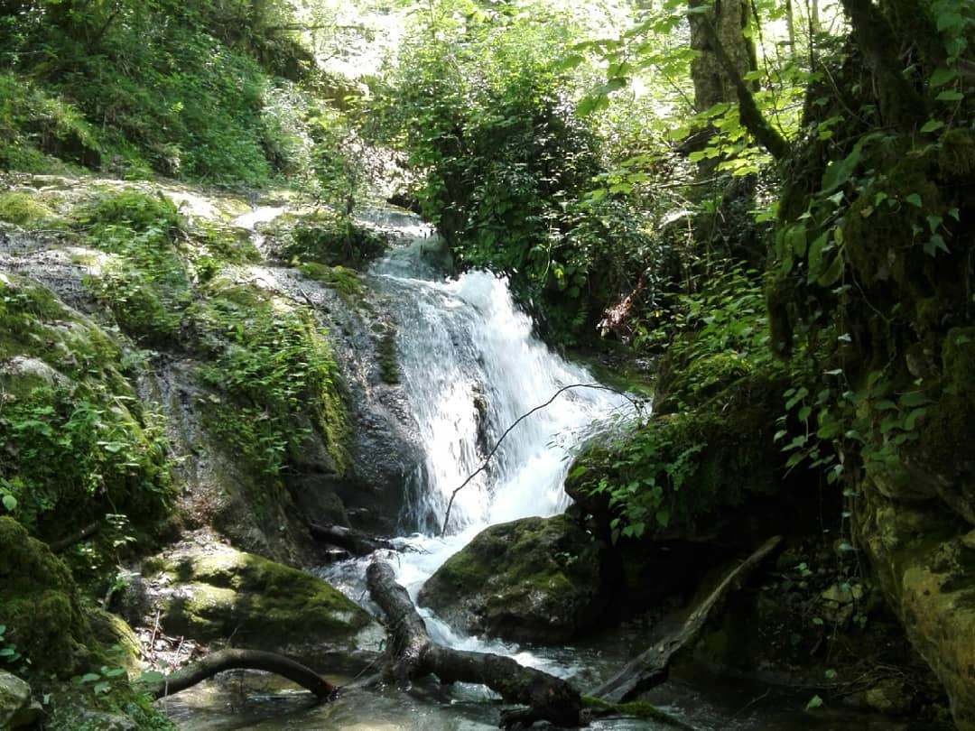 جنگل روستای چلندر