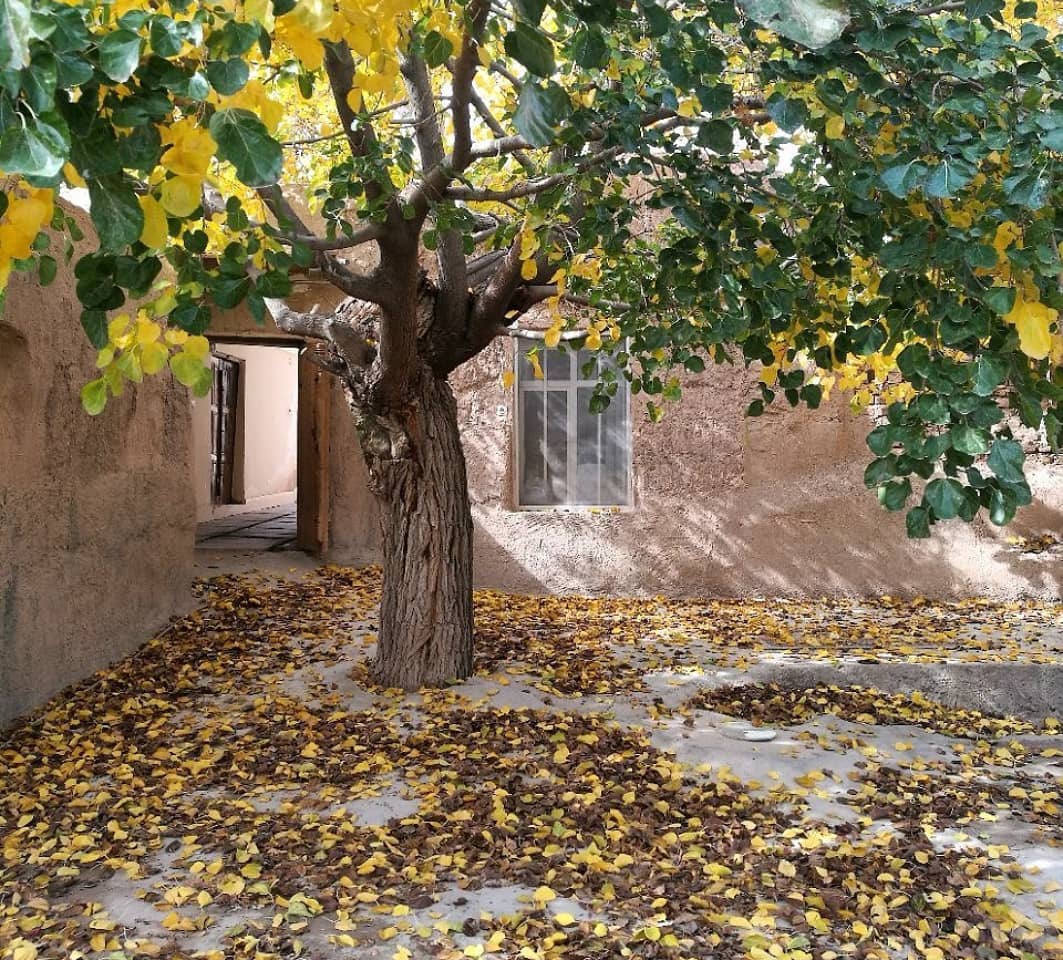 خانهی روستایی