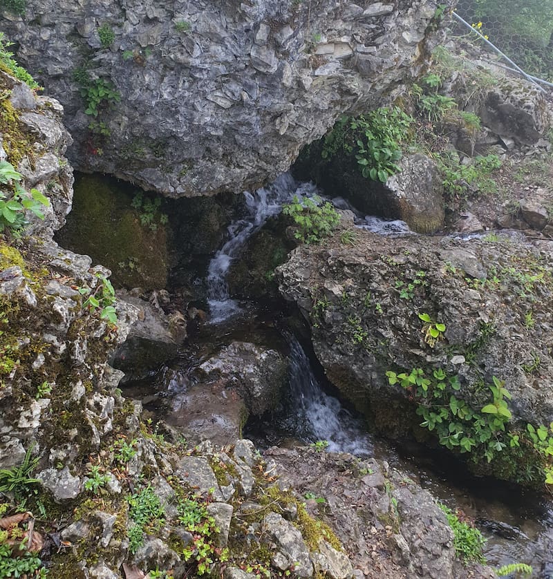 چشمه پراو از دل زمین تا همه جای جنگل
